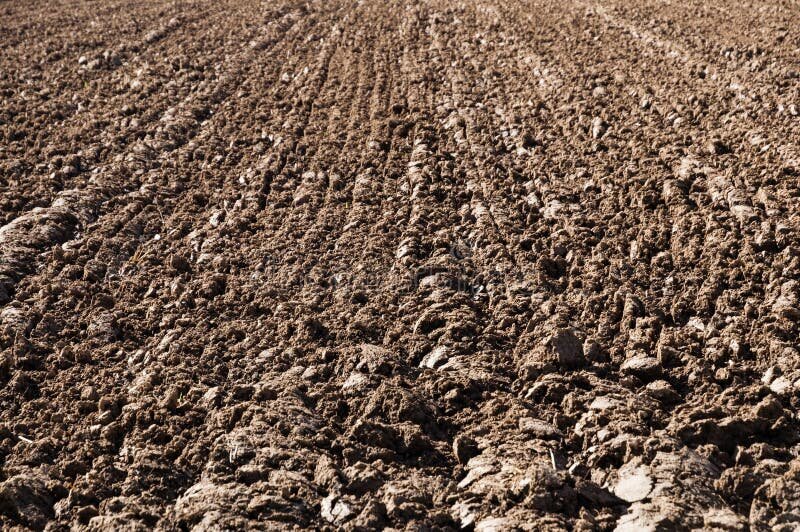 La comunidad con mayor inversión por hectárea del país