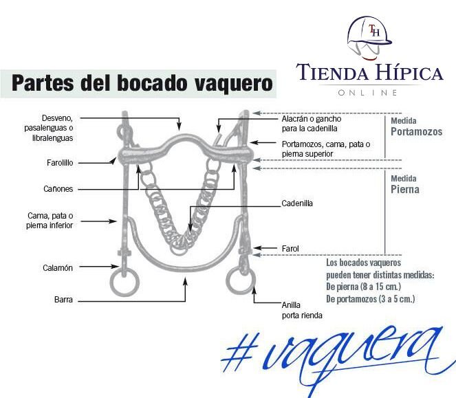 Componentes esenciales del bocado vaquero tradicional