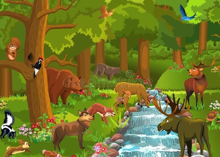 Nueve ejemplares de osos monitorizados