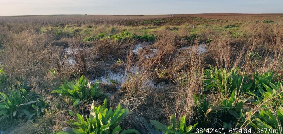 La CHG afirma que una avería provocó el vertido de aguas residuales en Almendralejo