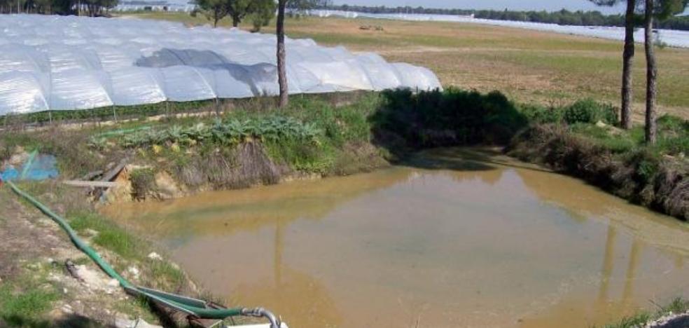 Los supermercados europeos piden a Moreno que deje de ampliar el riego en Doñana