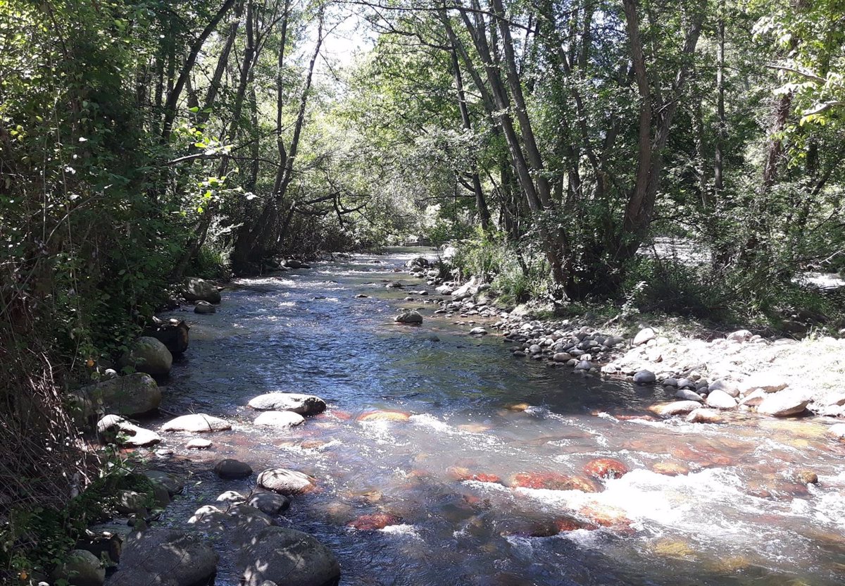 La CHE adjudica obras de mejora ambiental en los ríos Iregua, Najerilla, Tirón, Leza y sus afluentes con 397.000 euros