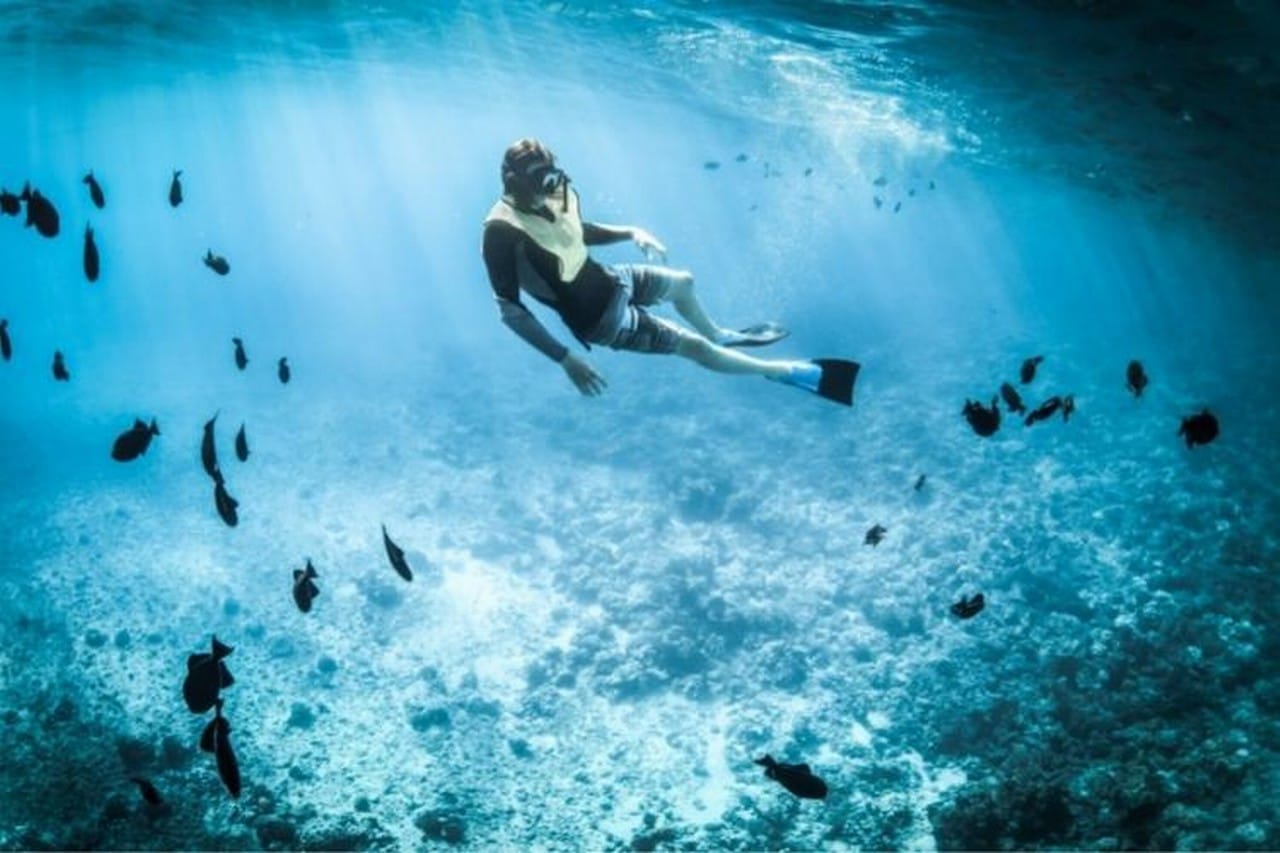 buceoenlanzarote.com