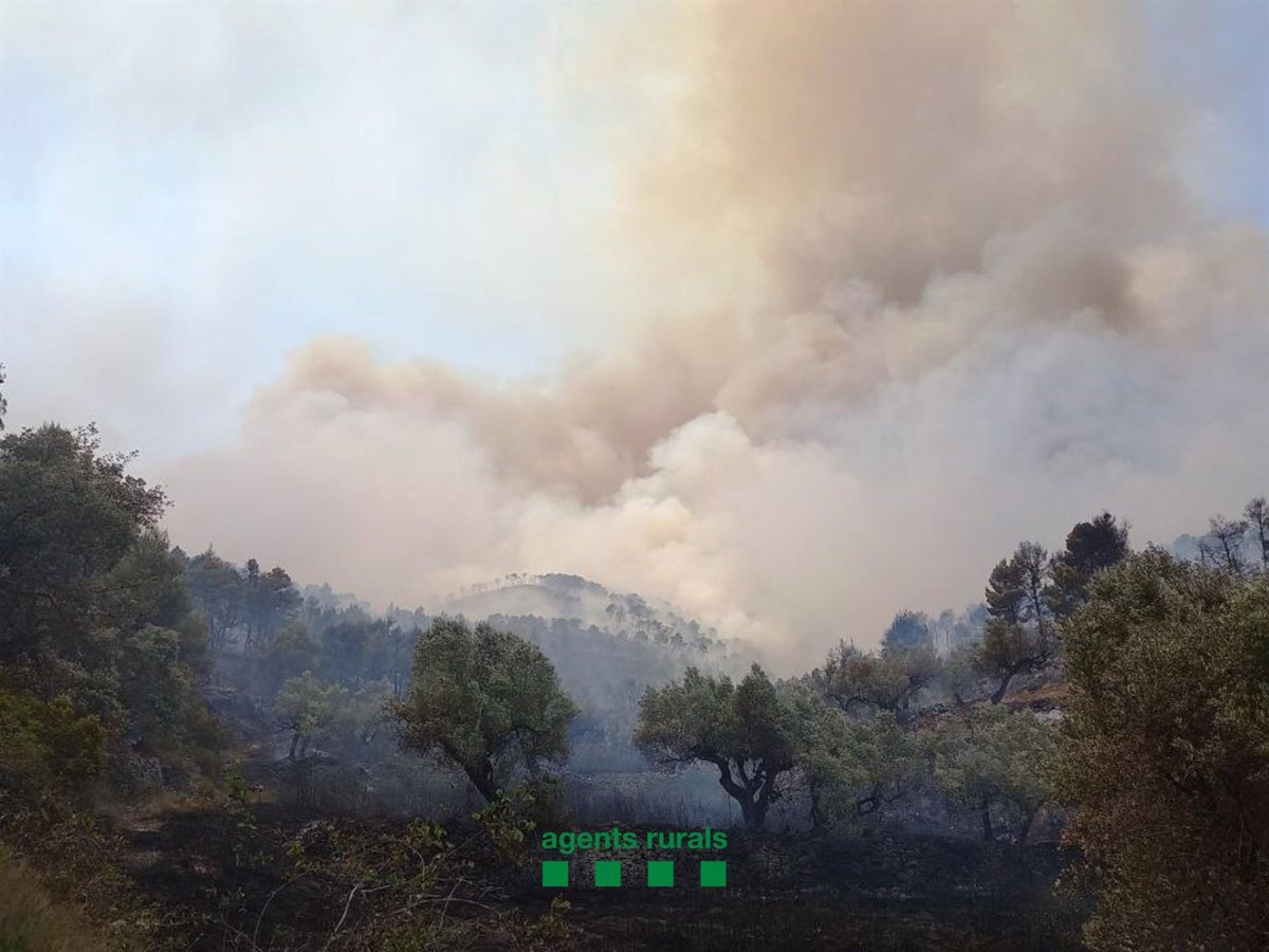 Sucesos.- La superficie afectada por el incendio en Corbera d’Ebre (Tarragona) aumenta a 220