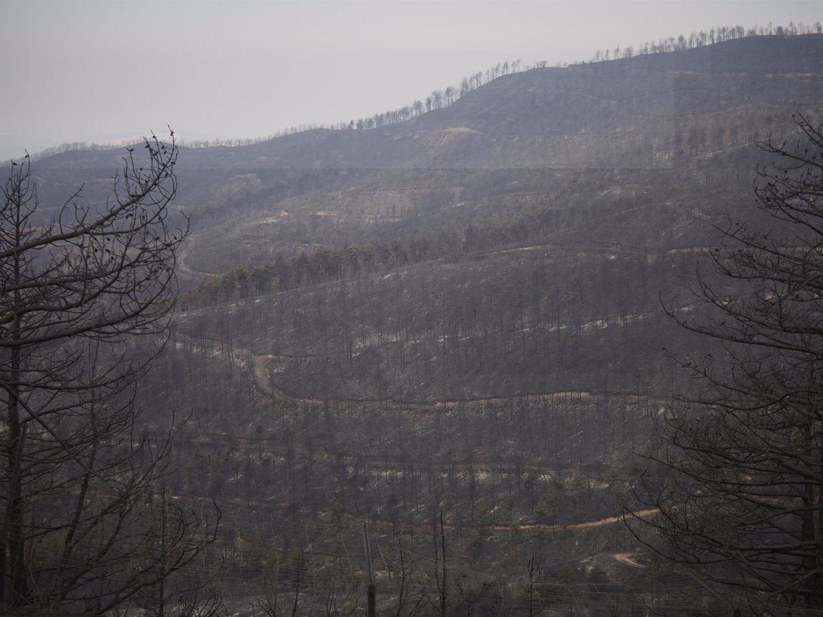 La superficie de cultivo afectada por los incendios en Navarra es de 2.257 hectáreas, la mayoría de cereales
