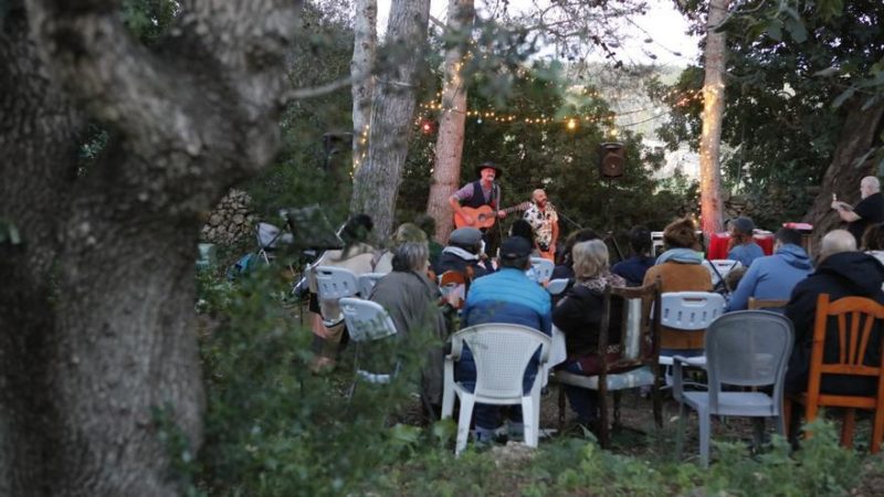 Música en el bosque mágico: El ambiente en estos conciertos en Mallorca es mágico