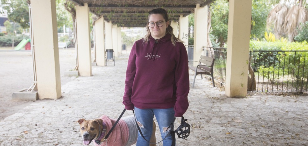 Alquiler casas con animales en Valencia |  La odisea de encontrar un piso de alquiler con mascotas en Valencia