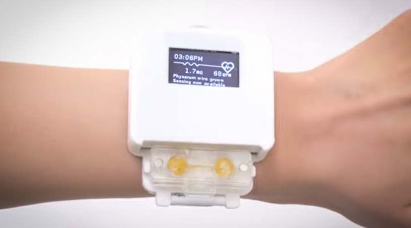 Smartwatch desarrollado con organismo vivo