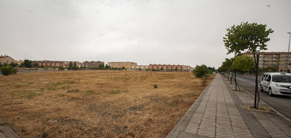 El Ayuntamiento aprueba 86 viviendas de alquiler asequible en Cáceres y Montijo