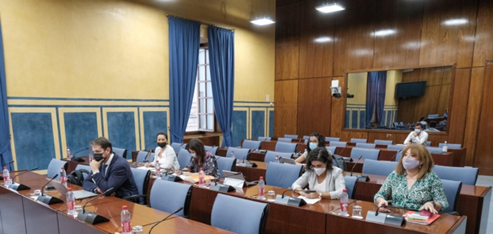La creación de la nueva comisión de la FAFFE debe pasar por el pleno si Andalucía se pronuncia en contra de su constitución