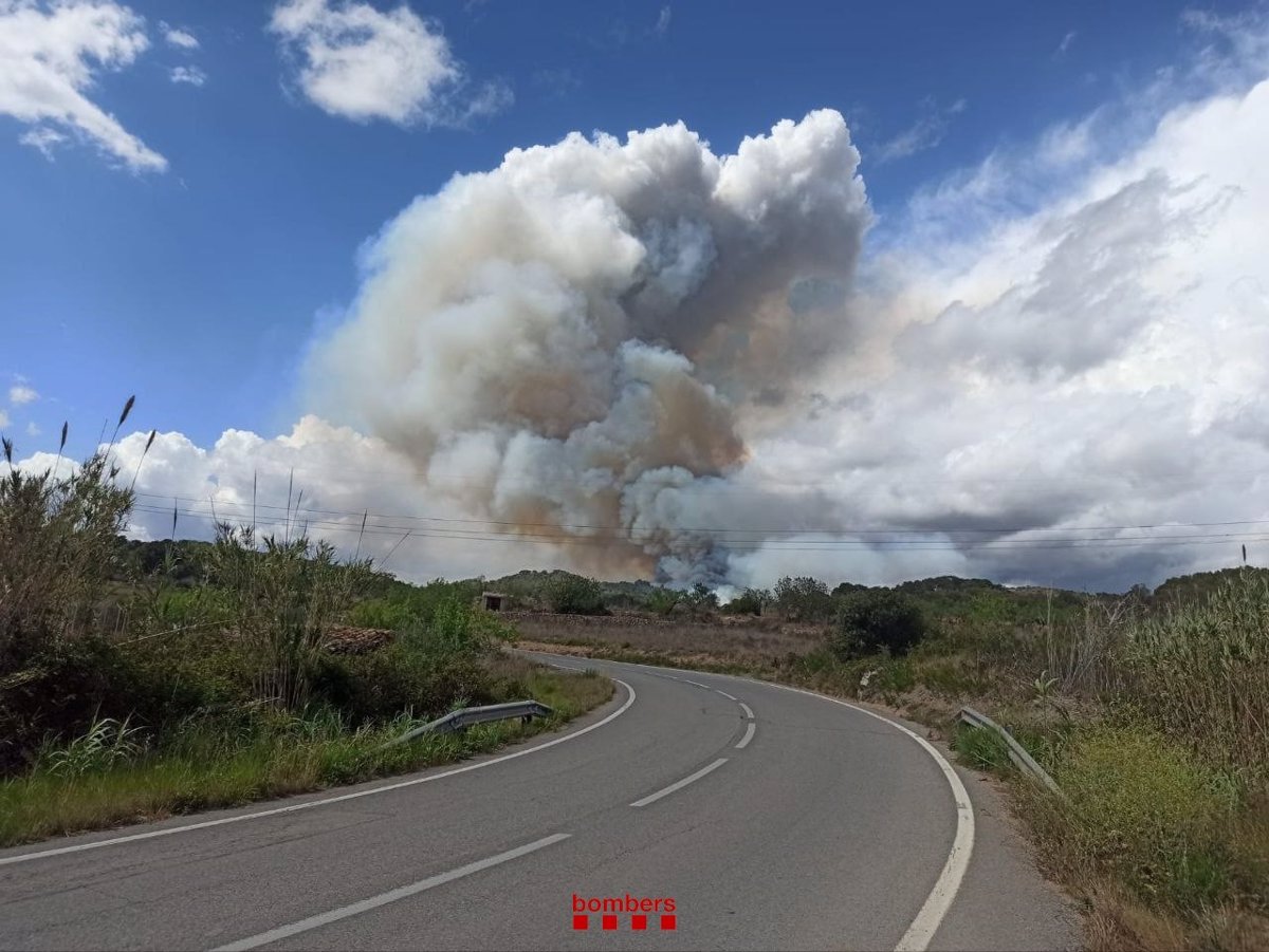 Lucha contra el incendio forestal en Bonastre (Tarragona) tras quemar unas 60 hectáreas