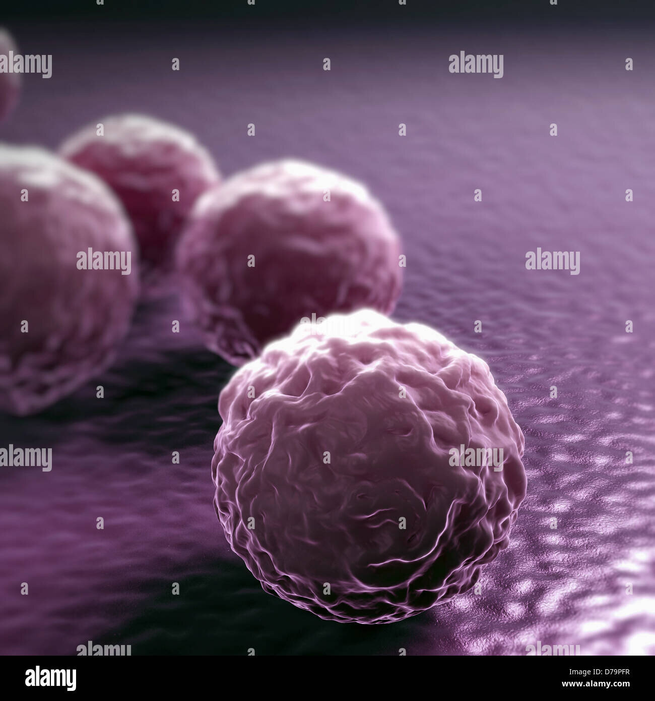 CUÁDRUPLES DE CLAMIDIA