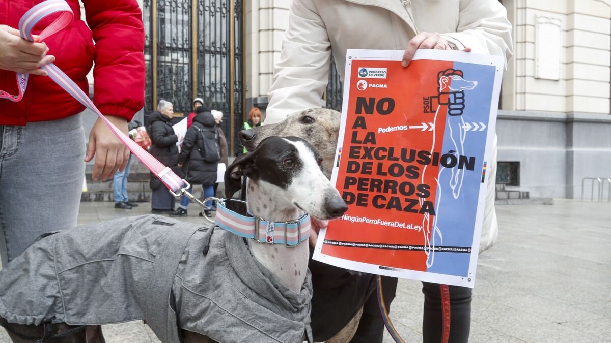 El Partido Pacma Animal denuncia el maltrato al animal, que "hiperventiló" cuando se le clavó la cornamenta