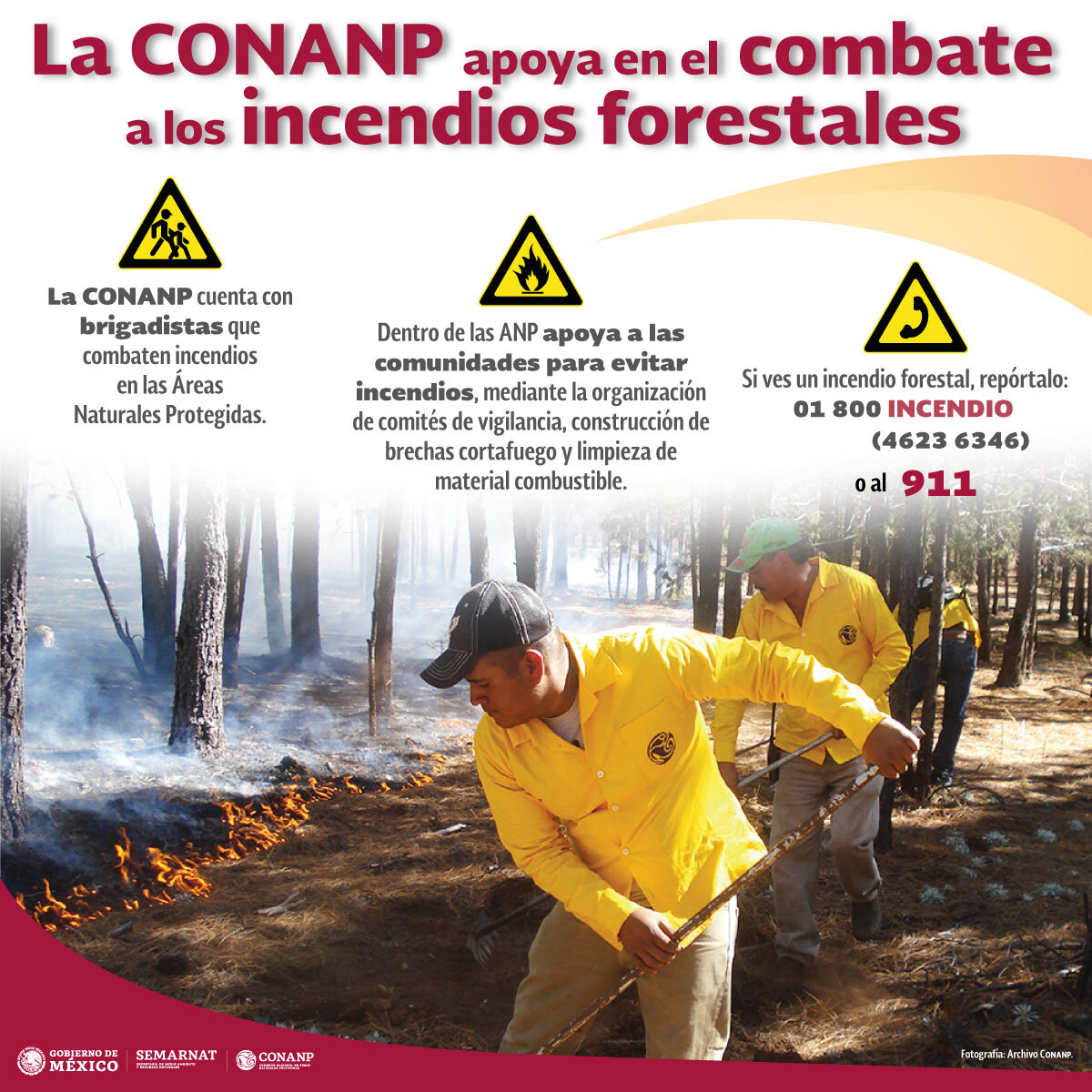 En 2022, Medio Rural enviará 250.000 notificaciones y publicaciones para exigir el cumplimiento de la Ley de Protección de Incendios Forestales