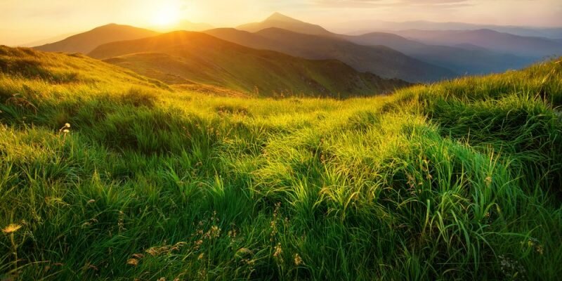 (Habrá una extensión)