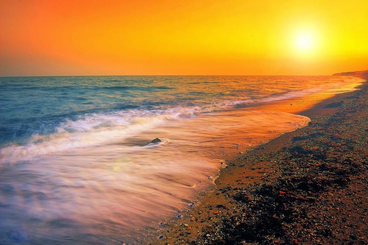 La arena húmeda, que está más cerca del mar, promueve la supervivencia de la materia fecal.