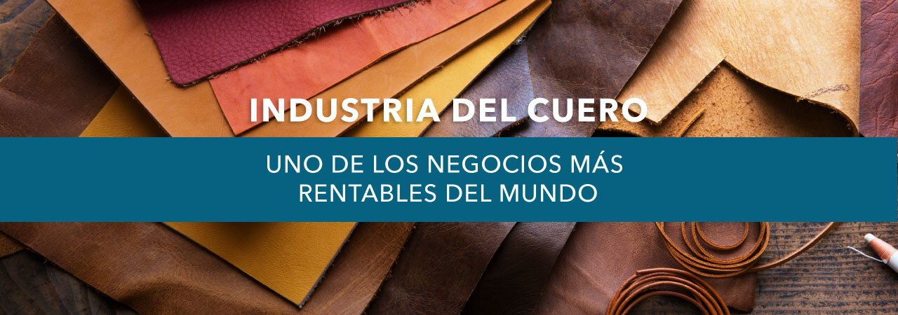 La Proceso de Producción de Cuero en Curtisur