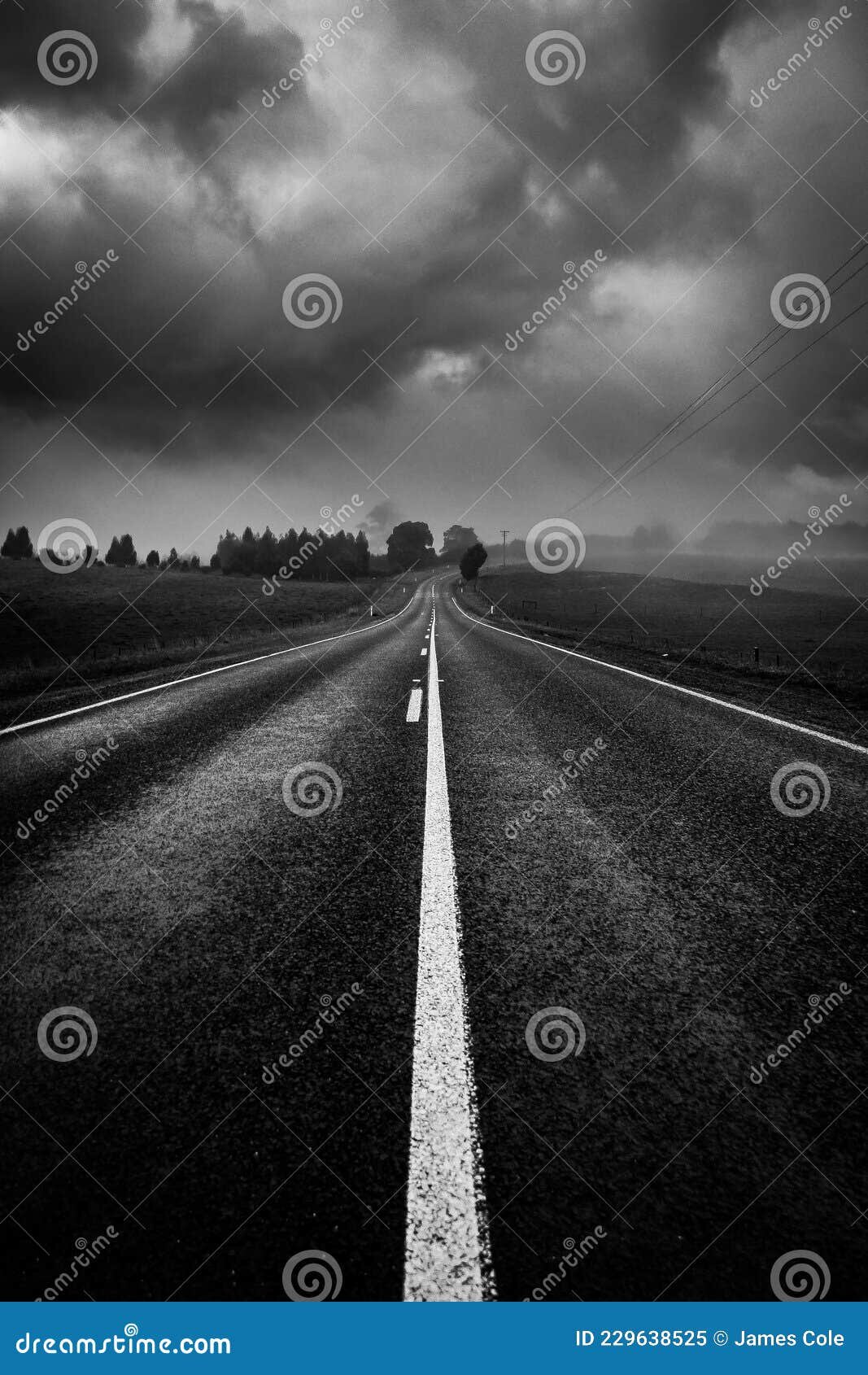 NIEBLA EN CARRETERAS