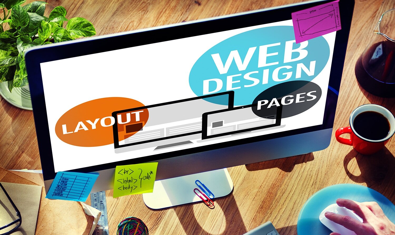 NUEVA WEB Y NUEVA IMAGEN