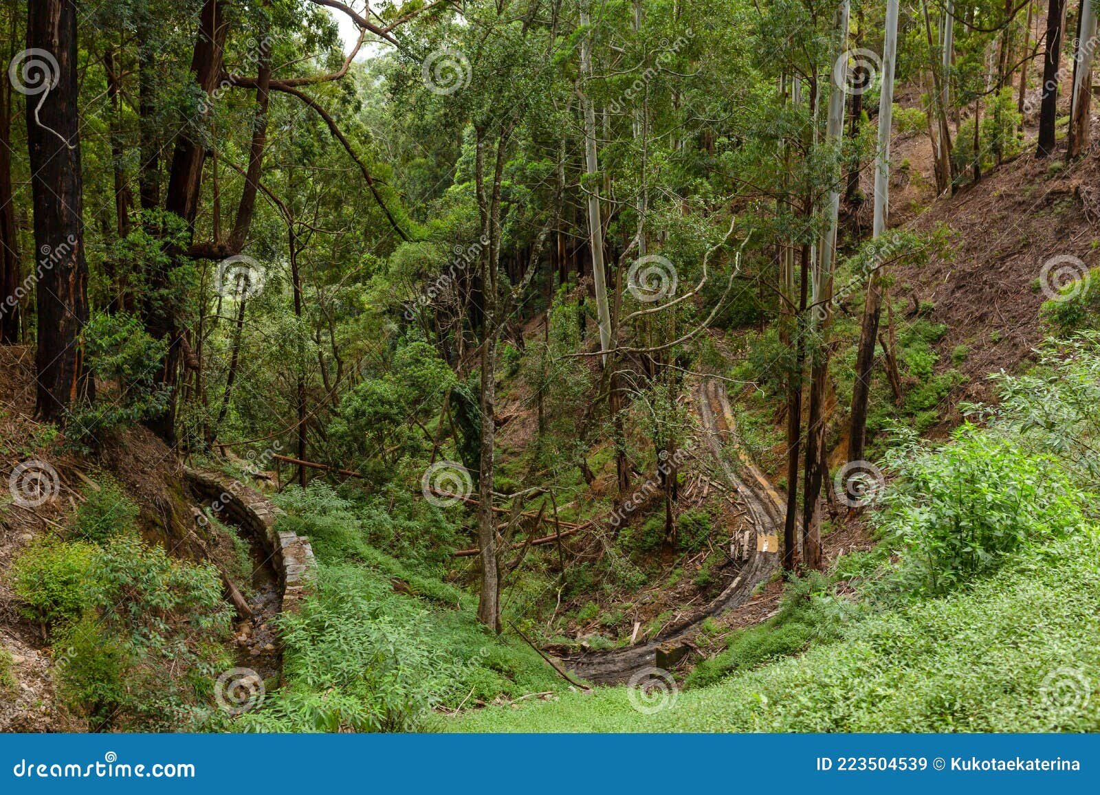 Protección del territorio chino con drones autónomos