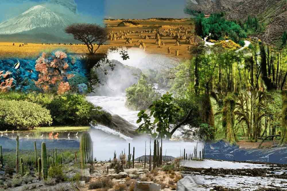 RESTABLECIMIENTO DE NIVELES SIMILARES A LOS NIVELES ANTES DE LA INVASIÓN