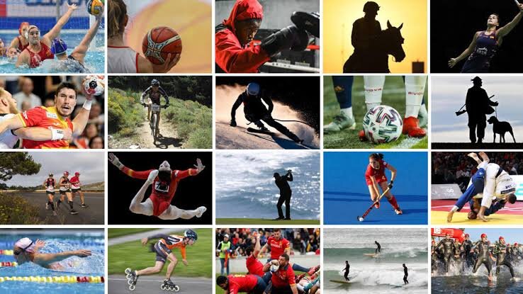 SIETE CLUBES PROFESIONALES EN UPNA