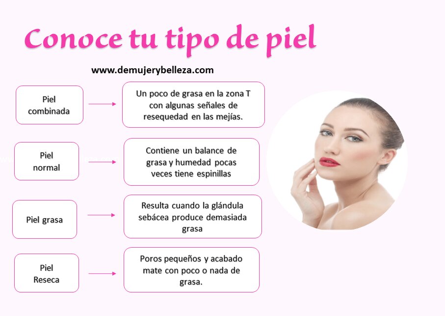 Tipos de pieles y sus características