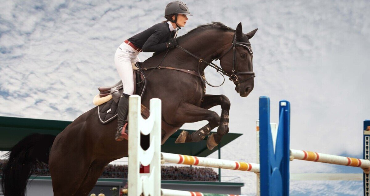 Elementos esenciales para la equitación diaria