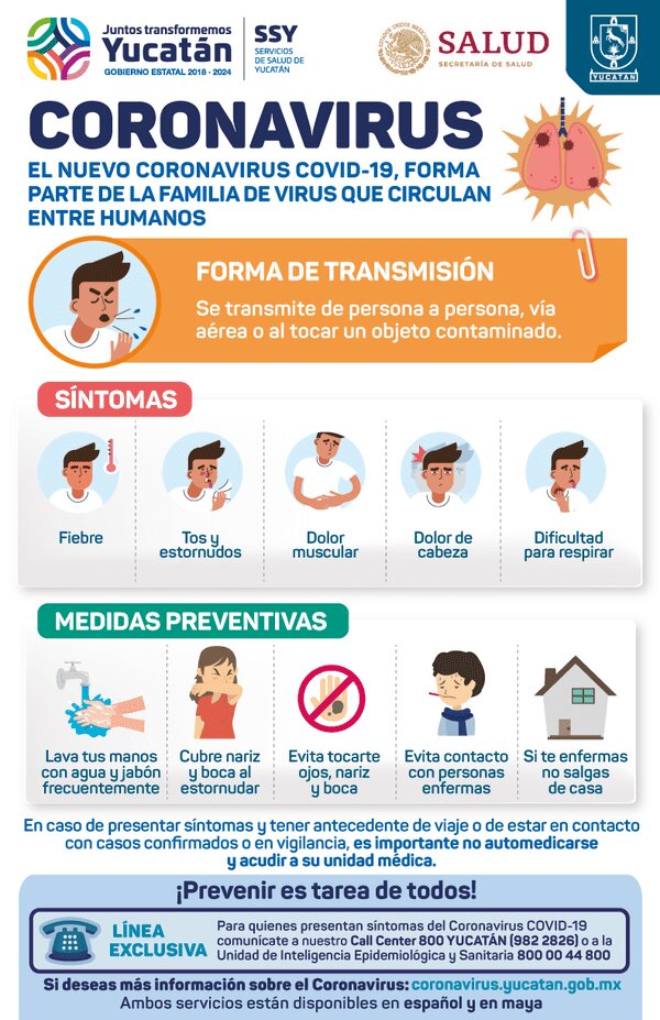 ¿Qué servicios ofrece el programa?