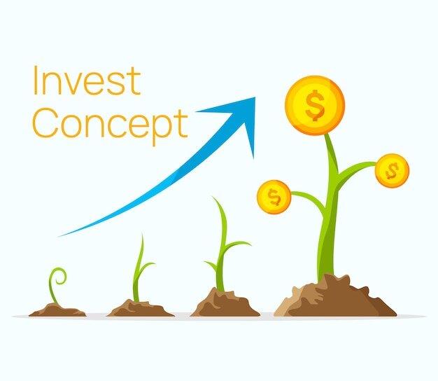 La inversión debe realizarse con fondos existentes.