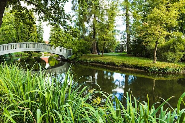 Mejora del entorno urbano y la movilidad peatonal