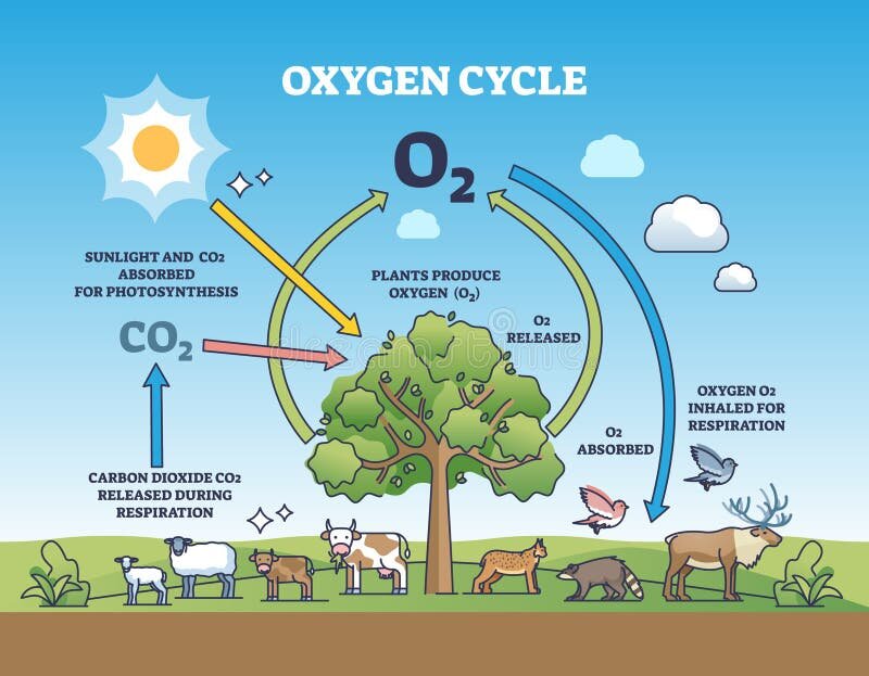 Neutralización de CO₂ con dióxido de carbono