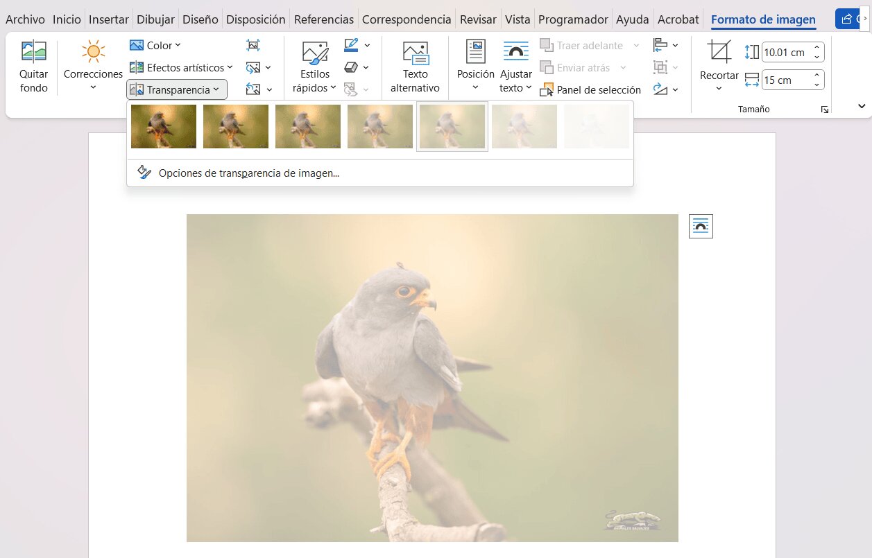 Transparencia y visibilidad del producto